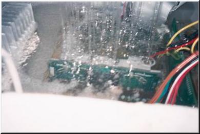 Janj_001.jpg (15644 bytes)