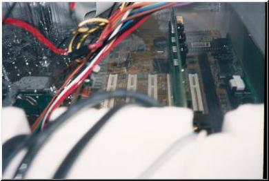 Janj_002.jpg (15998 bytes)