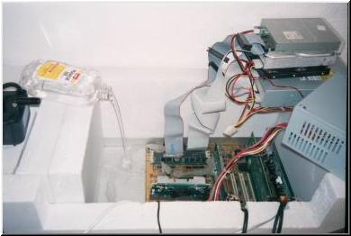 Janj_015.jpg (14811 bytes)