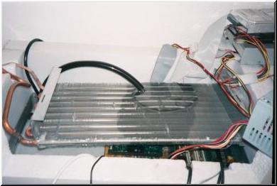 Janj_009.jpg (16746 bytes)